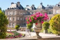 The Parisian citylandscape - view of the Luxembourg Palace through flowerpot with flowers