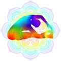Parivritta Janu Shirshasana. Yoga. Mandala.