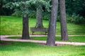 Park, alder, lawn, park paths and old park bench Royalty Free Stock Photo