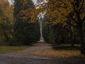 Park alley in autumn colors