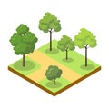 Park alley with big trees isometric 3D icon