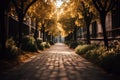 Park alley. Alley of the city park. Long shadows in the evening. Sunlight at sunset. AI generated