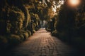 Park alley. Alley of the city park. Long shadows in the evening. Sunlight at sunset. AI generated