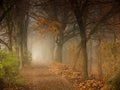 PARK ALLEY IN THE FOG Royalty Free Stock Photo