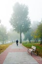 Park alley in the fog Royalty Free Stock Photo