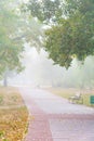 Park alley in the fog Royalty Free Stock Photo