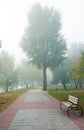 Park alley in the fog Royalty Free Stock Photo