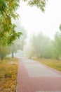Park alley in the fog Royalty Free Stock Photo