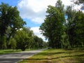 Park alley in the good weather. Royalty Free Stock Photo