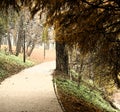 Park alley painting Royalty Free Stock Photo