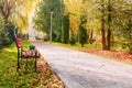 Park alley with a paved walkway and wooden benches