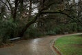 Park alley rain. A walk on a cloudy day through an empty green park. Royalty Free Stock Photo