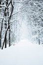 Park alley with snow Royalty Free Stock Photo