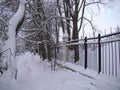 Park alley after the snowfall