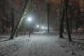 Park alley on a snowy winter evening. Royalty Free Stock Photo