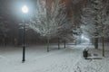 Park alley on a snowy winter evening. Royalty Free Stock Photo