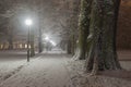 Park alley on a snowy winter evening. Royalty Free Stock Photo