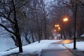 park alley in winter in Herastrau park in Bucharest, Romania