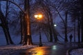 park alley in winter in Herastrau park in Bucharest, Romania