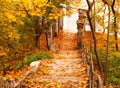 Park alley with yellow leaves. Autumn city decor.Close-up Royalty Free Stock Photo