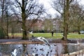 Park in Amsterdam with animals. Royalty Free Stock Photo