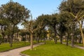 A park area beside the ancient Roman settlement of Herculaneum, Italy