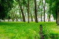 Park area in Bruegge Belgium Royalty Free Stock Photo