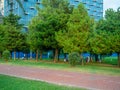 Park Area. People On Vacation. City Park. Quiet Place In The City