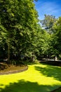 Park area with pond full of green algae Royalty Free Stock Photo