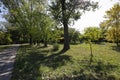 Park areas in Goclaw housing estate in Warsaw