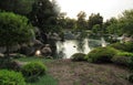 Park in Arizona with a Koi pond with a waterfall Royalty Free Stock Photo