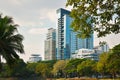 Park with a pond in Asia. Beautiful Bangkok. The building in the vegetation. A green city.