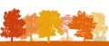 Park in autumn, beautiful silhouettes autumn trees. Vector illustration