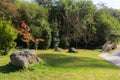 Park with autumn colors in Guriezo, Cantabria, Spain. Royalty Free Stock Photo