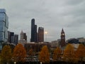 a park in autumn with trees and skyscrapers Royalty Free Stock Photo