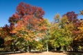 Park of Bad Homburg in autumn Royalty Free Stock Photo
