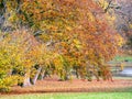 Park of Bad Homburg in autumn Royalty Free Stock Photo
