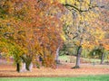 Park of Bad Homburg in autumn Royalty Free Stock Photo