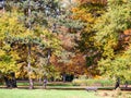 Park of Bad Homburg in autumn Royalty Free Stock Photo