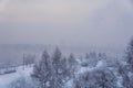 park on the bank of the Yenisei River on an early frosty foggy winter morning Royalty Free Stock Photo