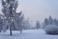 park on the bank of the Yenisei River on an early frosty foggy winter morning Royalty Free Stock Photo