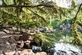 The park of Baotu Quan in Jinan, China Royalty Free Stock Photo
