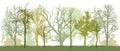 Park bare trees in spring silhouette. Vector illustration