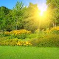 Spring park with beautiful flowerbeds and sun.