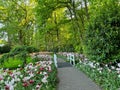 Park with beautiful flowers and bridge over canal. Spring season