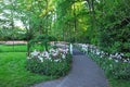 Park with beautiful flowers and bridge over canal. Spring season