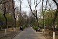 Park In Beijing China with many people walking around calm serene