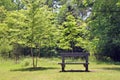Park Bench Royalty Free Stock Photo