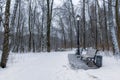 Alley with park benches and trees covered by heavy snow. Royalty Free Stock Photo