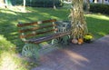 Park Bench with Autumn Decorations